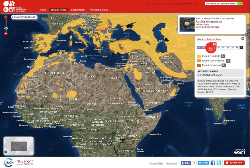 Distribución_Aguila_real