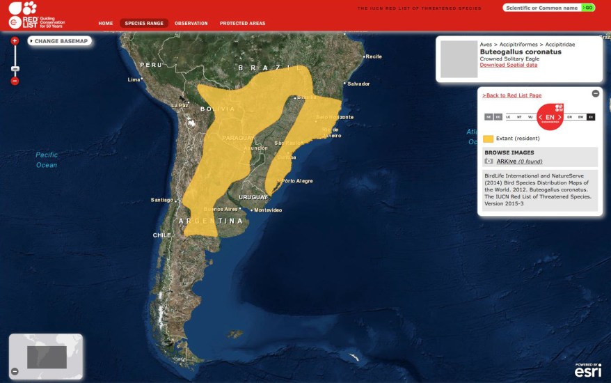 Distribución del Aguila coronada
