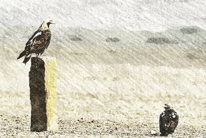 lamina-pareja-posada-copia