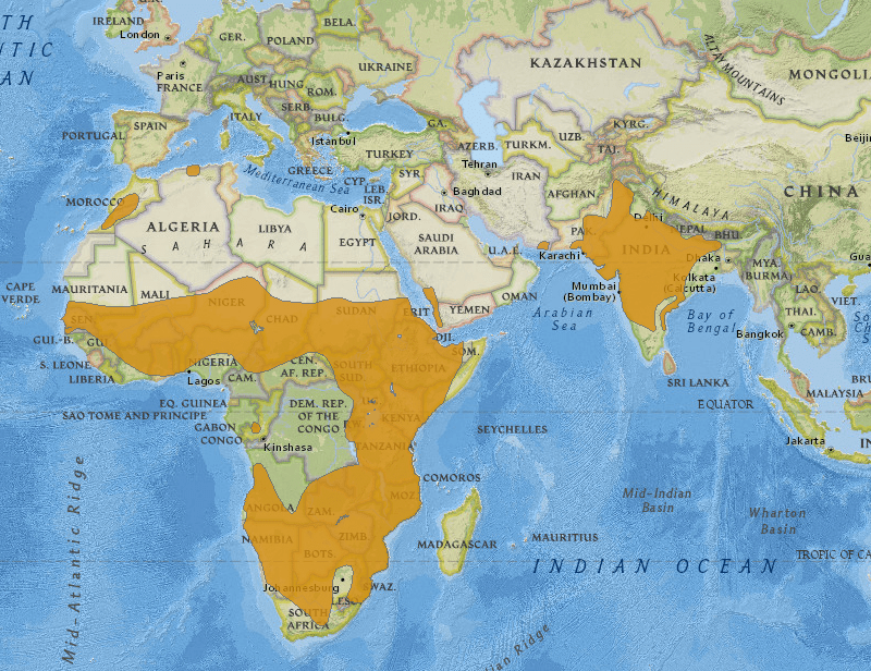 captura-de-pantalla-2017-03-05-a-las-21-51-27