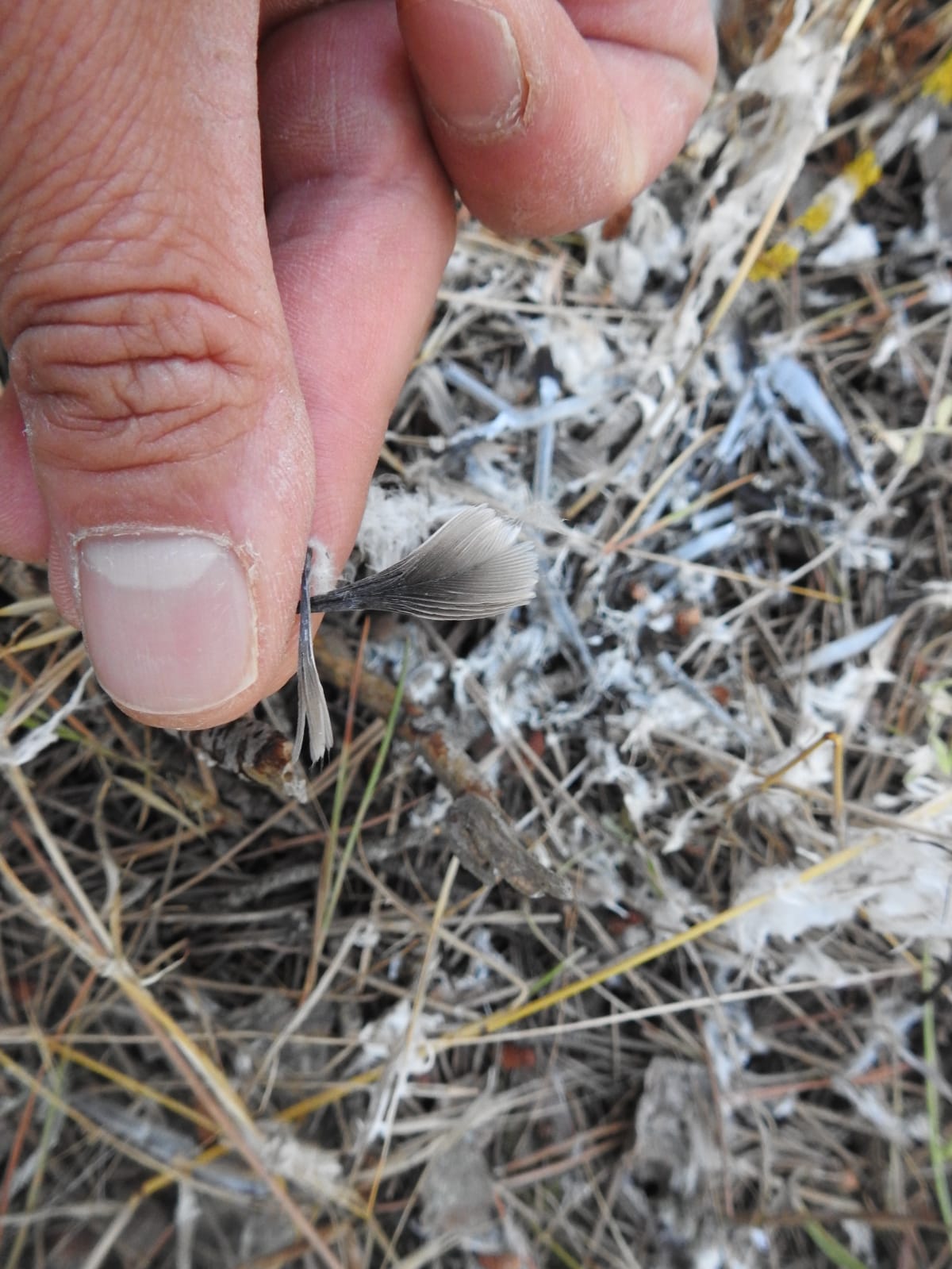 PHOTO-2018-08-08-05-38-34